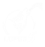 Lupus 5